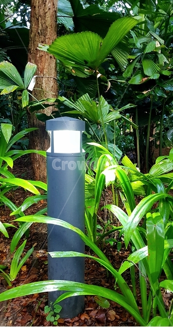 정원등,잔디등,가로등,전구,불빛,자연,lamp,bulb,light,nature