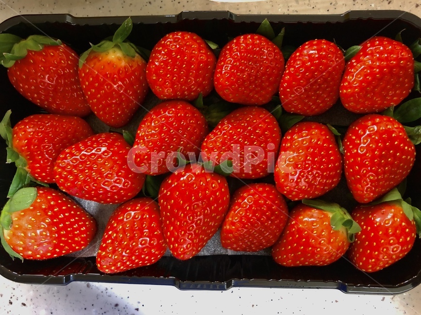 딸기,strawberry,빨강,봄,봄과일,red,집합,음식,식재료,요리,food,cook,meal,dishes,food reserves,과일,열매,fruit,채소,야채,vegetables