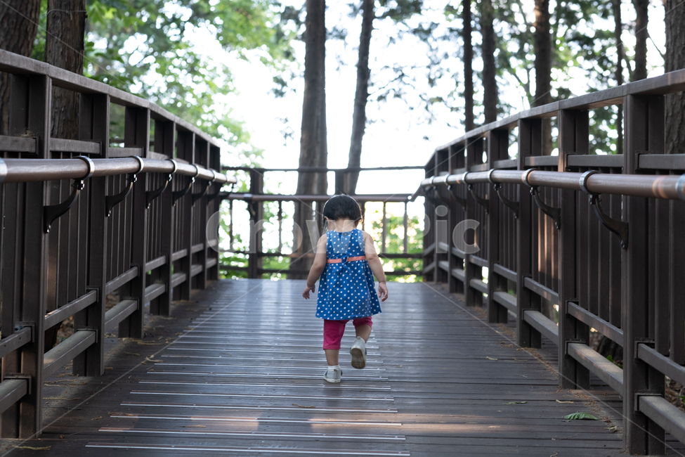 아기,아장아장,걷기,뒷모습,공원,나들이,주말,사람,인물,인간,human,person,영유아,아기,애기,아이,infants,baby