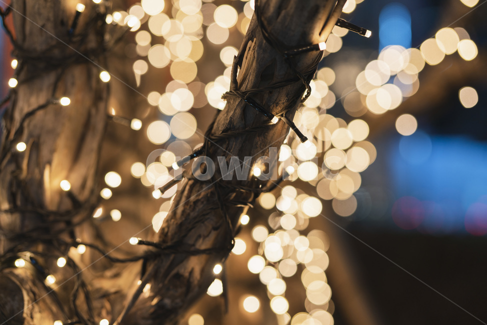 빛,보케,크리스마스,불빛,빛망울,bokeh,나무,밖,야외,밝은,노랑,노란,전선,전구,야경,밤,풍경,nightscape,night,landscape,감성,sensible,feeling
