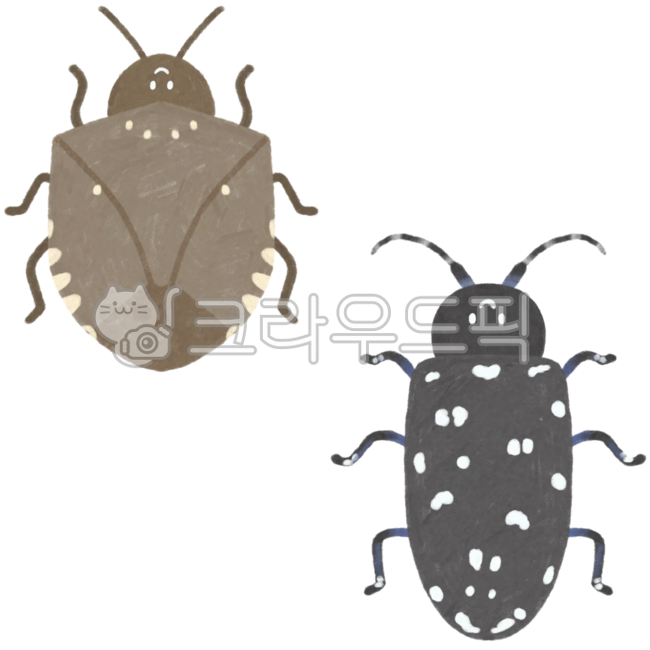 Insects,insect pictures,spring insects,spring,bugs,insect illustrations,sky beetles,stink bugs,longicorn beetles,alack sky beetles,sky beetle pictures,stink bug pictures