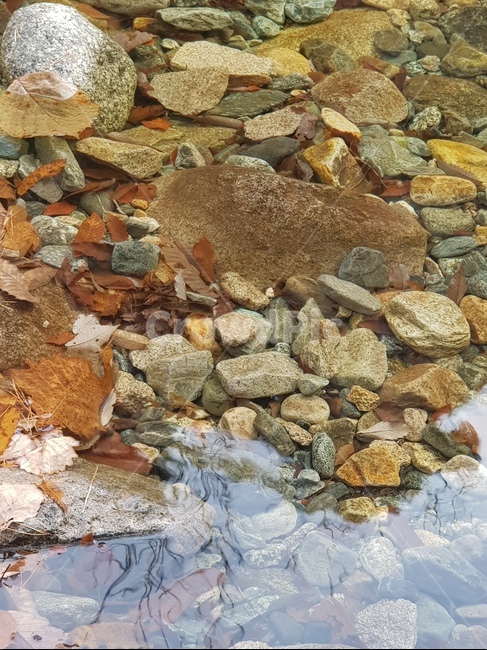 바위,산,계곡,물,맑은,자연,돌맹이,valley,water