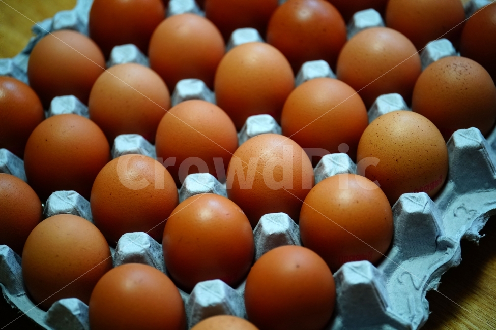 chicken,raw eggs,egg,objects,recipe,animal nature,side dish,ingredients,cooking,poultry farm,raw egg,cook,food ingredients,food,chick,grocery,thing,object