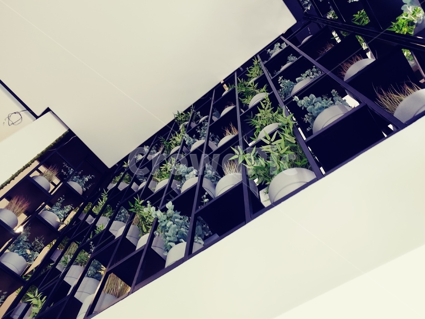 난간,직선,handrail,plant,화분