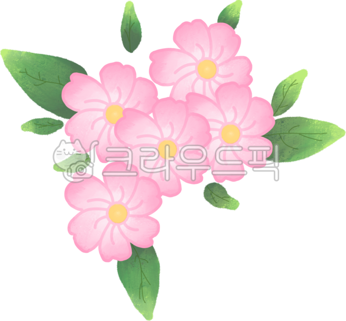flower,꽃,petal,꽃잎,벚꽃,봄꽃,봄,자연,식물,blossom,spring,nature