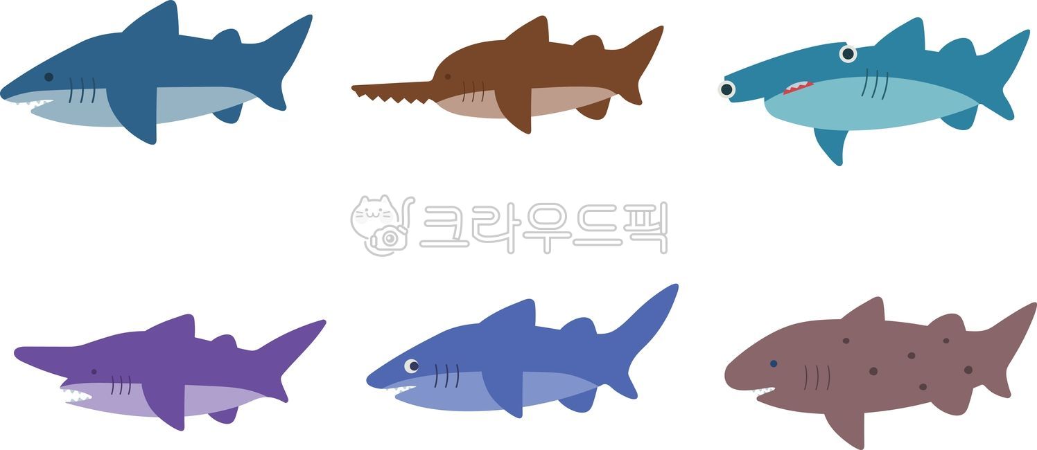 물고기일러스트,바다,바닷속,상어,상어그림,상어일러스트,톱상어,뱀상어,백상아리,그린란드상어,마귀상어,환도상어,육식동물,동물,물고기,물고기그림,수족관,shark,illustration