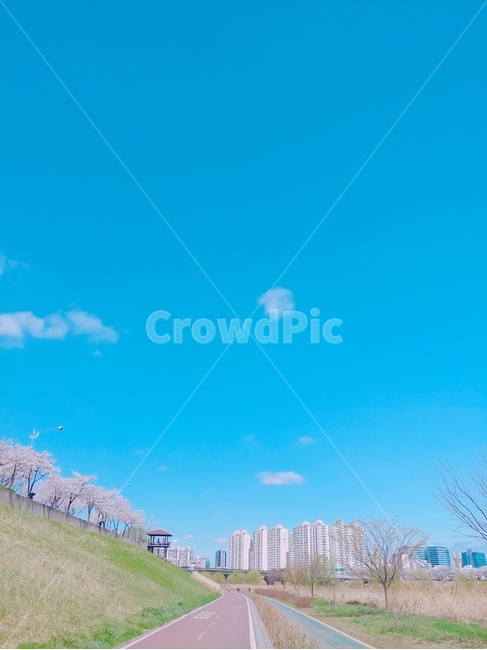 산책길,도림천,outdoors,봄길,푸른하믈