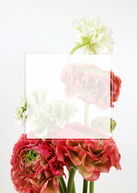 꽃,봄꽃,봄,배경,프레임,백그라운드,배경이미지,꽃다발,빨강,흰색,컬러,flowers,background,seasonal,꽃,flower