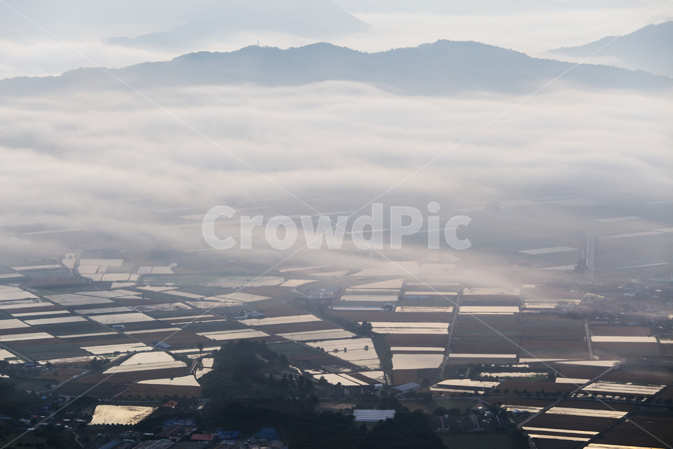 운해,시골,마을,농촌,풍경,산,새벽,아침,outdoors,nature,landscape