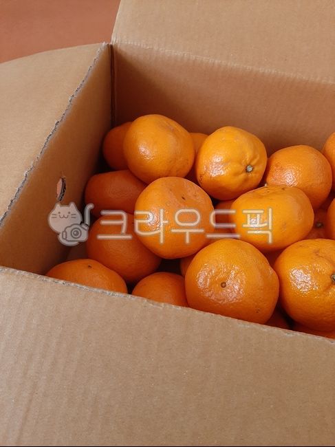 mandarin,citrus fruits,fruit,box,A box of tangerines,Orange,food,tangerines,citrusfruit,orange,One box,dessert,Tangerine Box