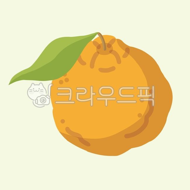 한라봉,한라봉일러스트,손그림,제주도,제주도일러스트,시트러스,상큼한,제주,귤,감귤,과일,제철과일,새콤한,맛있는,신선한과일,과일일러스트,그림,일러스트,핸드드로잉,제주일러스트,레드향,천혜향,천혜향일러스트,레드향일러스트