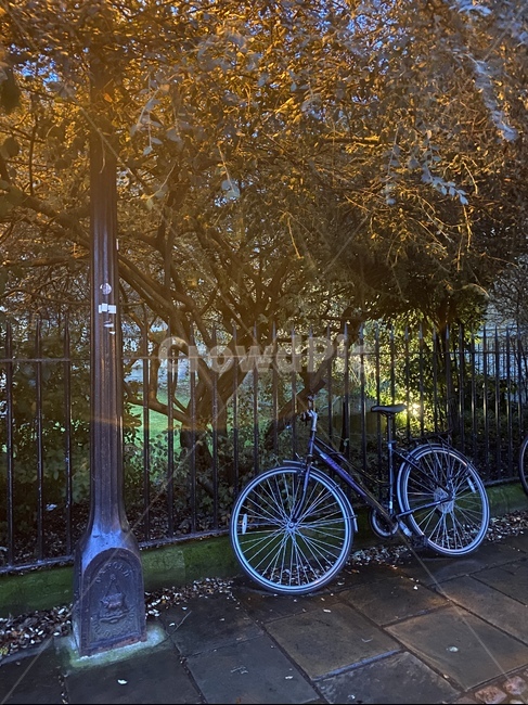 자전거,가로등,밤거리,감성,영국,런던,bicycle