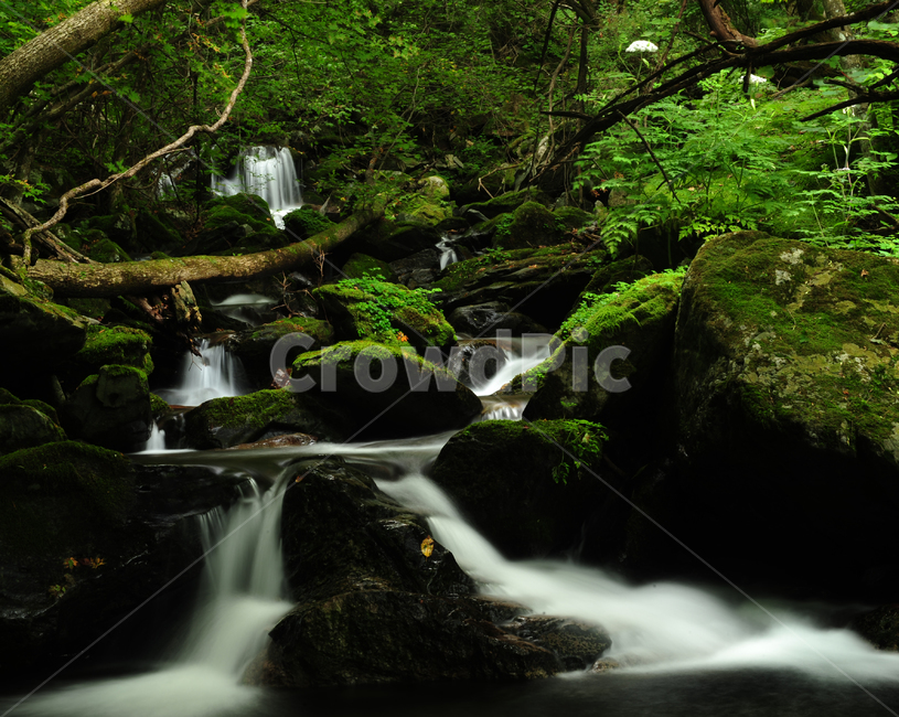 water,물,nature,자연,river,강,옥외,outdoors,산,등산,자연,풍경,nature,landscape