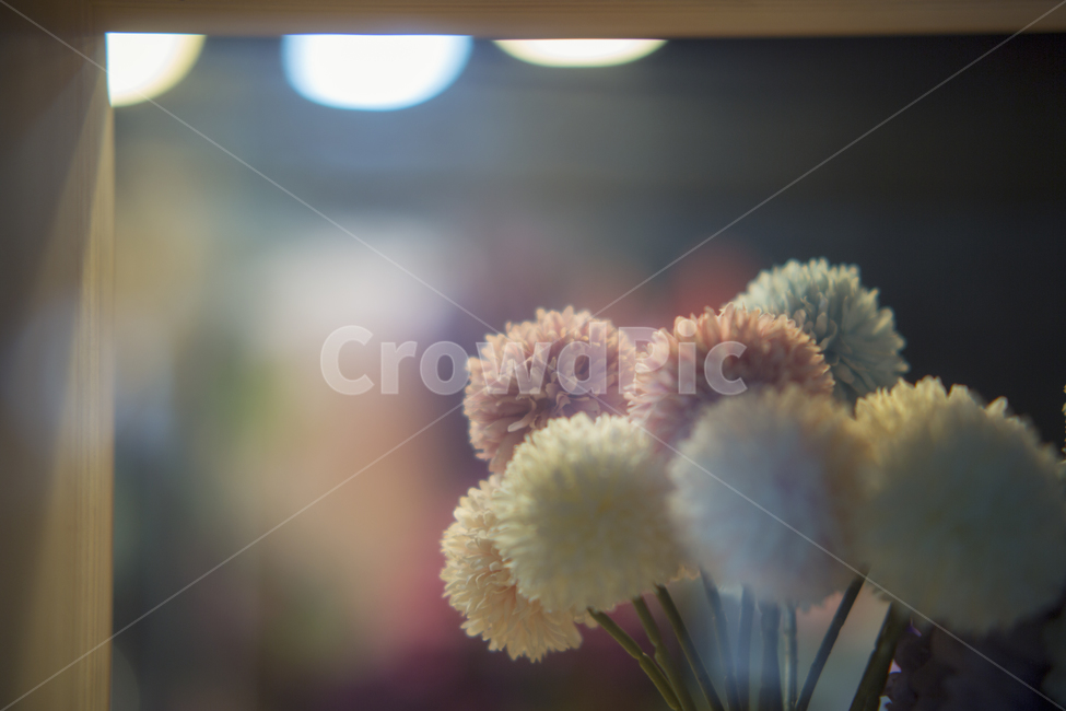 꽃,야경,풍경,빛망울,꽃병,꽃,flower