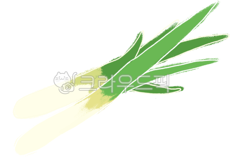 파, 파그림, 파일러스트, plant, 음식, 사진,이미지,일러스트,캘리그라피 - Nasidl작가