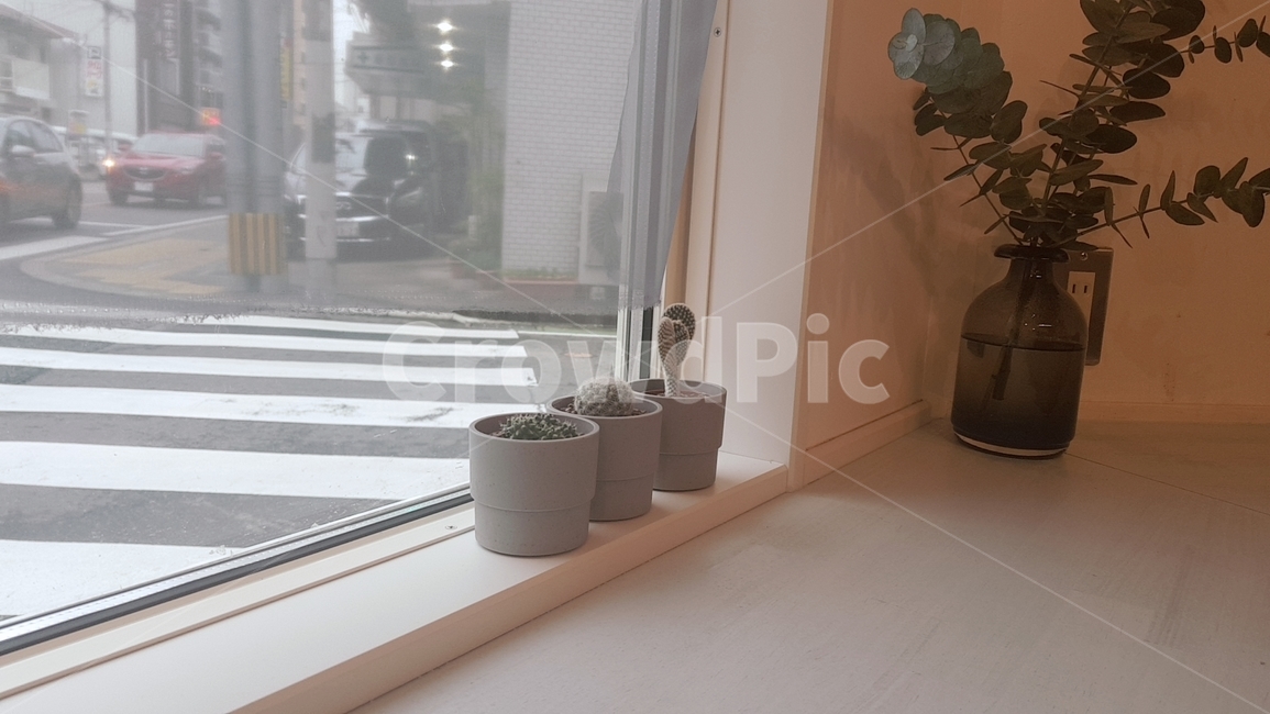 카페,배경,창가,화분,차분,따뜻