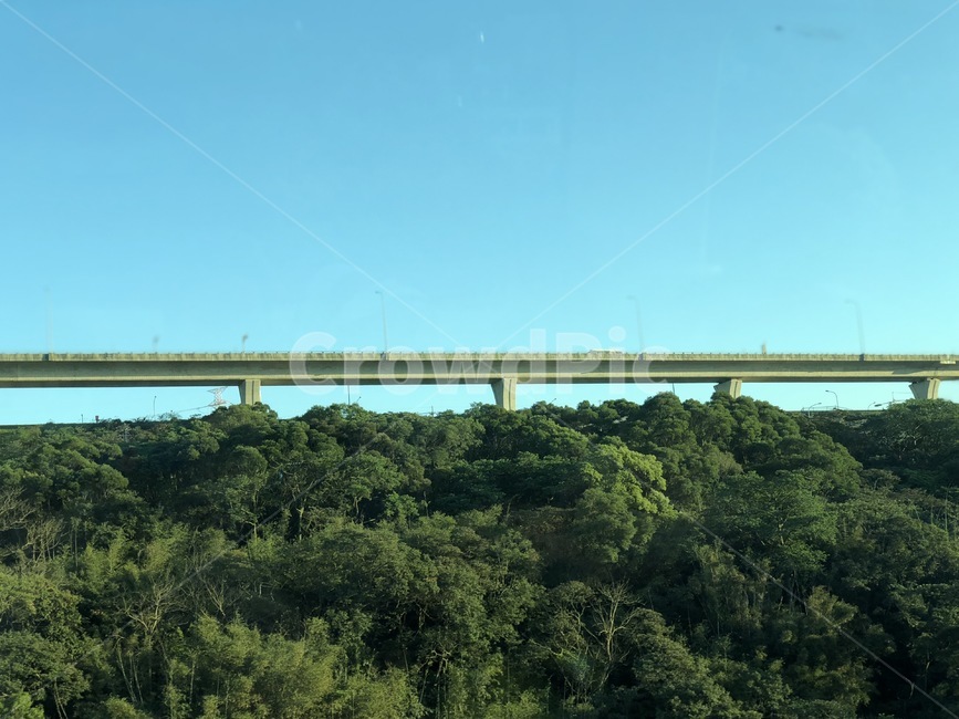 대만,타이베이,taipei,다리,나무,trees,bridge