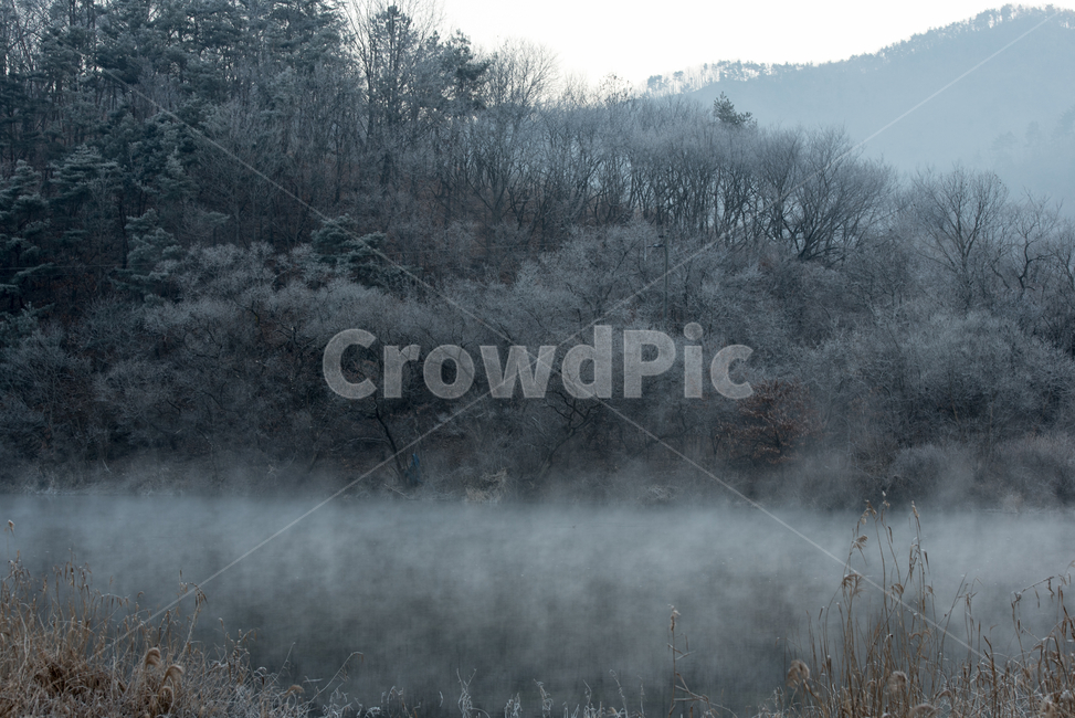 상고대,전북진안,용담댐,겨울풍경,겨울,자연현상,겨울왕국,겨울,계절,winter,season,자연,풍경,nature,landscape,한국자연풍경,한국자연경관,korea nature landscape,outdoors,옥외,weather,날씨