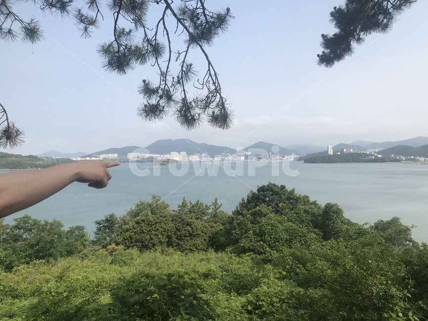 섬,나무,바다,자연,풍경,손