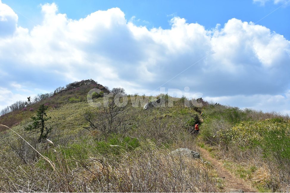 주작산,덕룡산,종주,진달래,풍경,기암,바위,비경,봄풍경,진달래꽃,강진,명산,산행,등산,마운틴,힐링,mountain,landscape,자연,natural,자연,풍경,nature,landscape,한국자연풍경,한국자연경관,korea nature landscape,outdoors,옥외,gravel,자갈,road,도로,dirt road,흙길