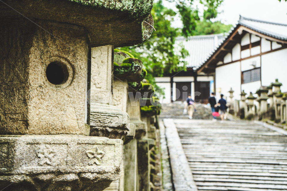 일본,신사,석조물,계단,자연,japan,asia,stone,stairs,nature,green,shrine,전통,오래된,traditional,old
