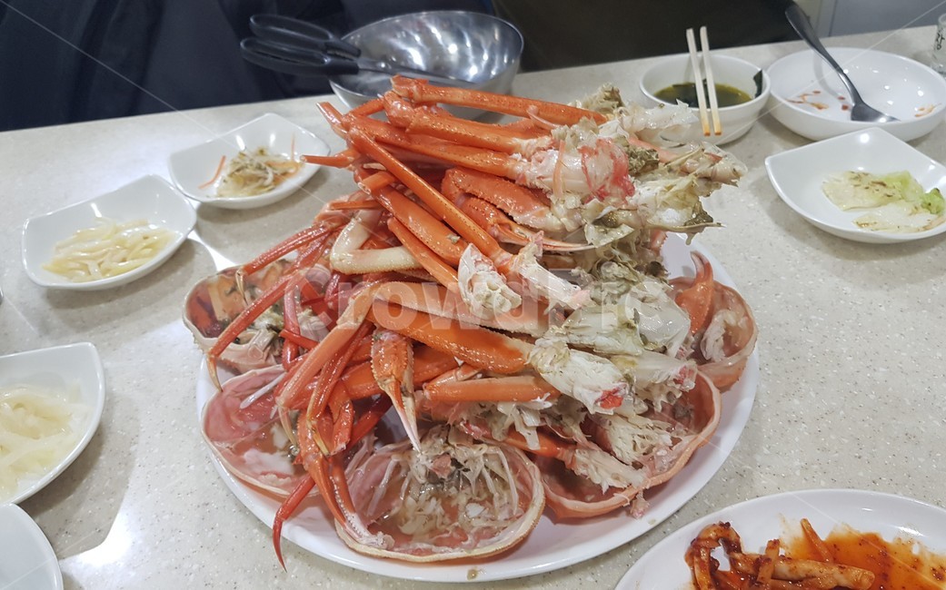 대게,게,음식,요리,식사,안주