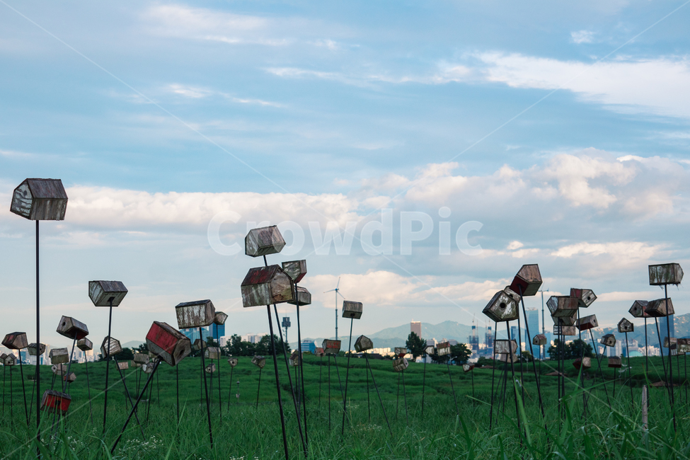 구름,하늘,파랑,새집,새둥지,풍경,하늘공원,조각상,동상,석상,조형물,statue,bronze statue,stone statue