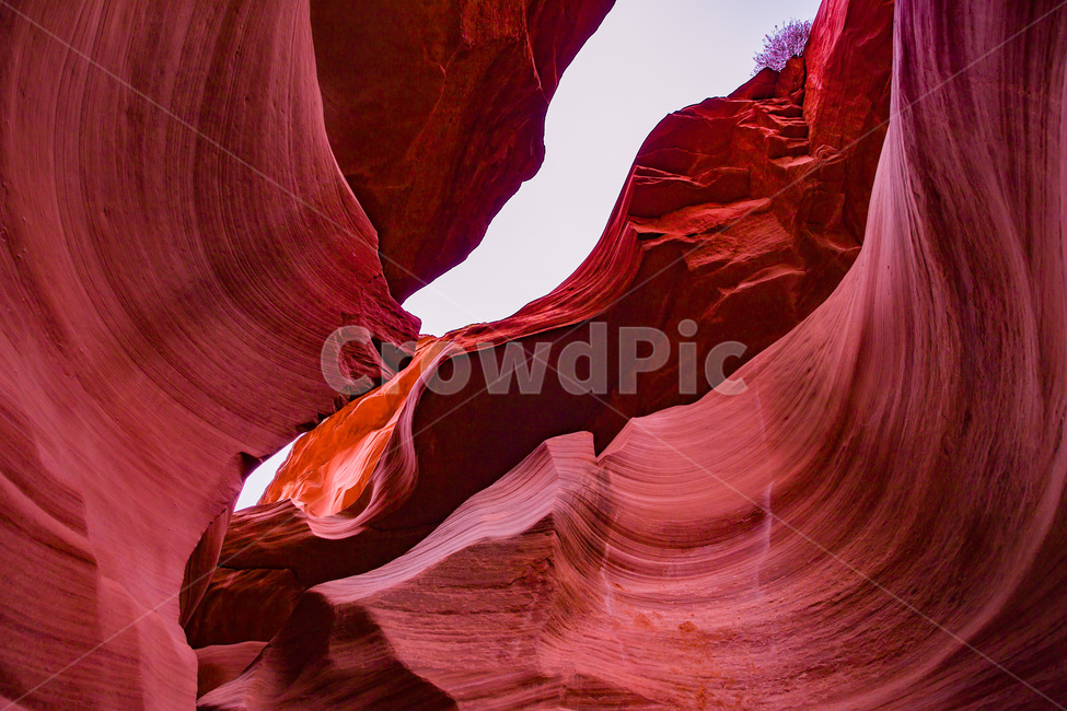 antelope,arizona,background,beauty,bright,canyon,color,desert,landscape,light,lower,nature,navajo,orange,page,pattern,red,rock,sandstone,southwest,texture,upper,usa,미국,바위,자연,사막,동굴,유타,나바호,네바다,엔텔롭,엔텔로프,캐년