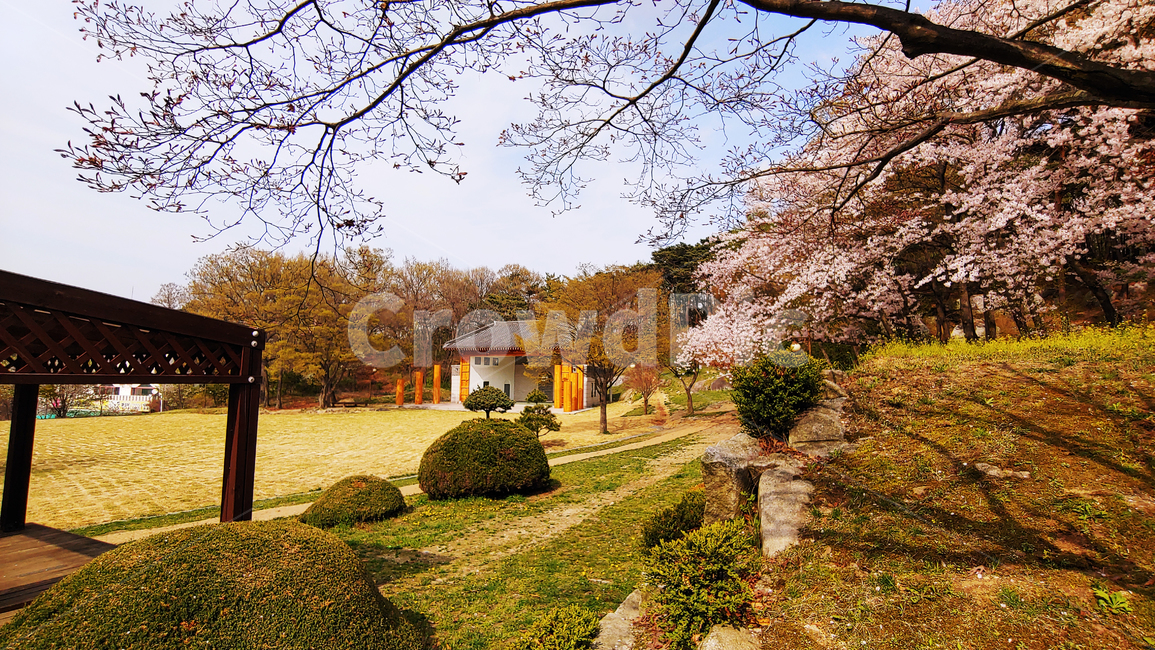 풍경,배경,자연,정자,나무,자연,풍경,nature,landscape,plant,식물