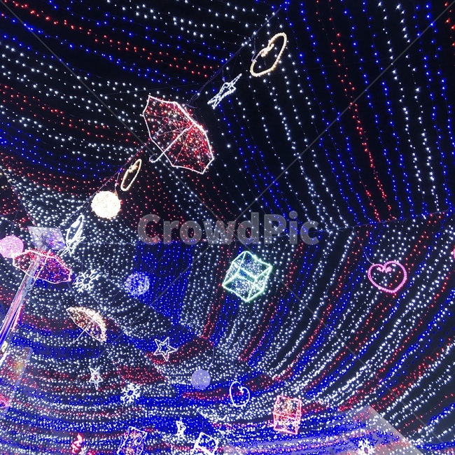 네온,밤,장식,네온사인,전구