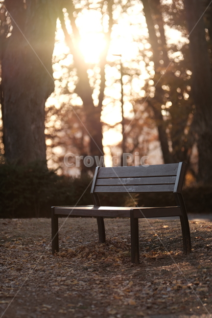 의자,벤치,공원벤치,parkbench,나무,자연,풍경,nature,landscape