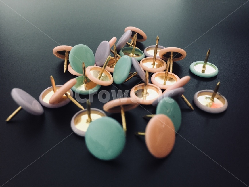 압핀,압정,사무용품,사물,정물,컬러,핀,사물,물건,오브젝트,thing,object,matter,학용품,문구류,사무용품,school supplies,stationery,office supplies