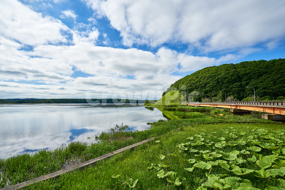 개방감,시골,풍경,습지,자연,자동차,언덕,자연,풍경,nature,landscape,한국자연풍경,한국자연경관,korea nature landscape,outdoors,옥외