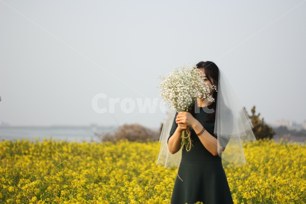 웨딩촬영,신부,유채꽃,봄웨딩촬영,여자상반신,봄,계절,spring,season,여성,여자,woman,female,lady,결혼,혼례,웨딩,wedding,marriage,marry,plant,식물,flower,꽃,blossom,flower arrangement,꽃꽂이,flower bouquet,꽃 부케