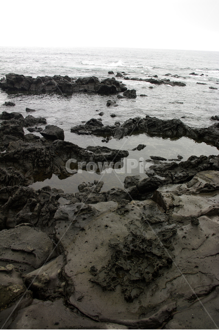 제주,바위,현무암,바다,파도,자연,풍경,nature,landscape,제주도,jeju,jeju island,outdoors,옥외,water,물,ocean,대양,sea