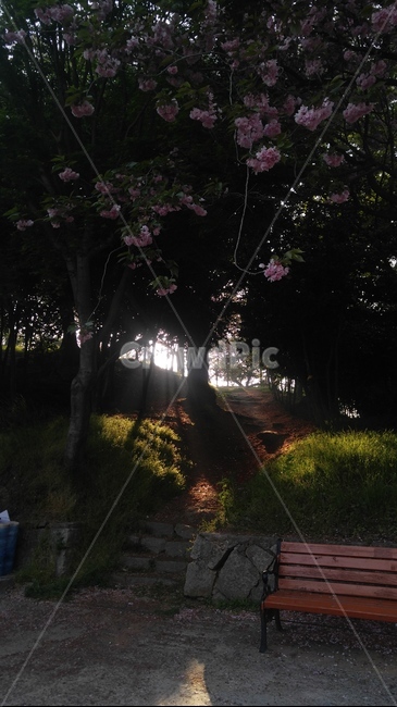 빛,light,bench,벤치,공원,명암