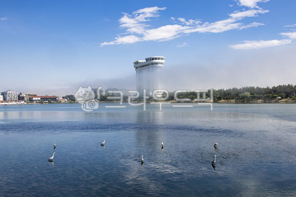 경포호바다안개,경포호,안개,바다안개,경포호안개