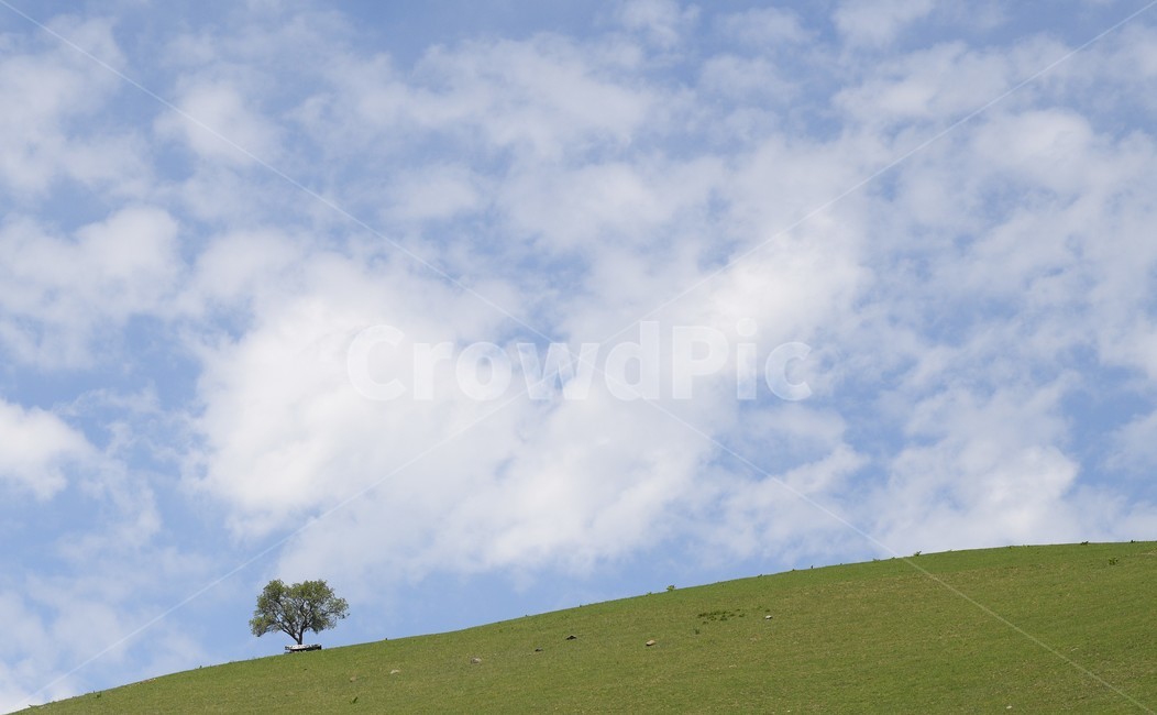 산,하늘,나무,구름,자연,자연,풍경,nature,landscape,outdoors,옥외,grassland,목초지,field,들