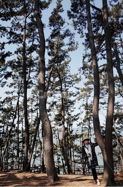 나무,식물,숲,자연,나뭇가지,나뭇잎,풍경,힐링,신선함,상쾌함,배경,plants,tree,trees,wood,forest,nature,feeling,정화,초록,green,나무,trees,wood,사람,인물,인간,human,person