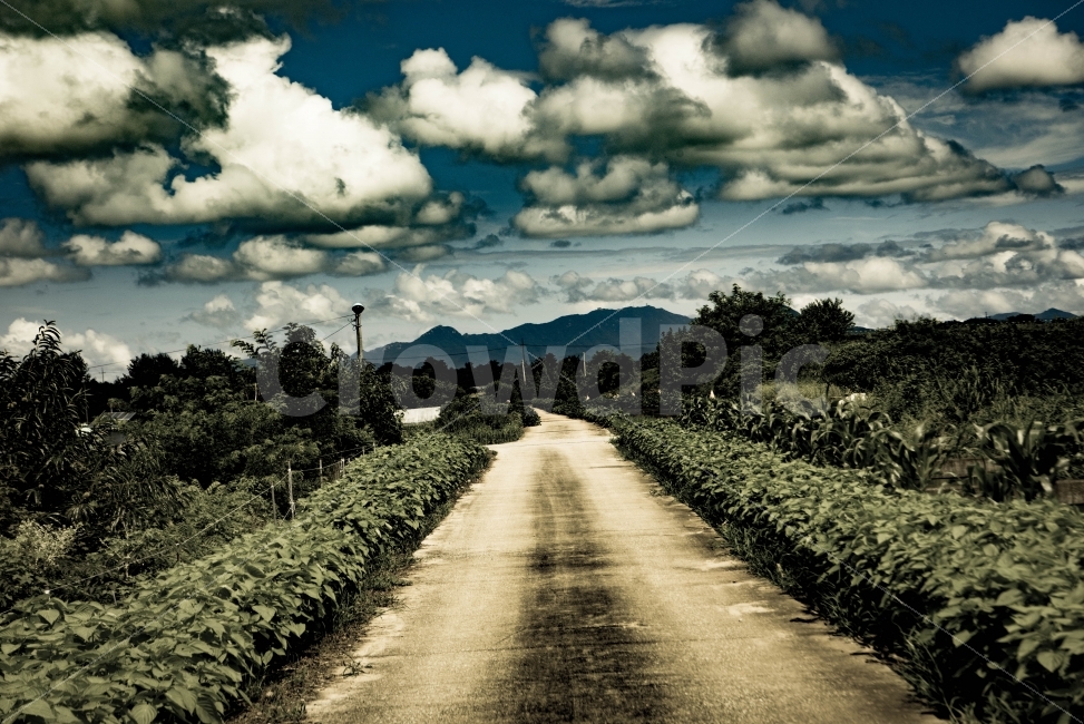 풍경,하늘,구름,일상,자연,시골,마을,풍경,landscape,country,rural,town