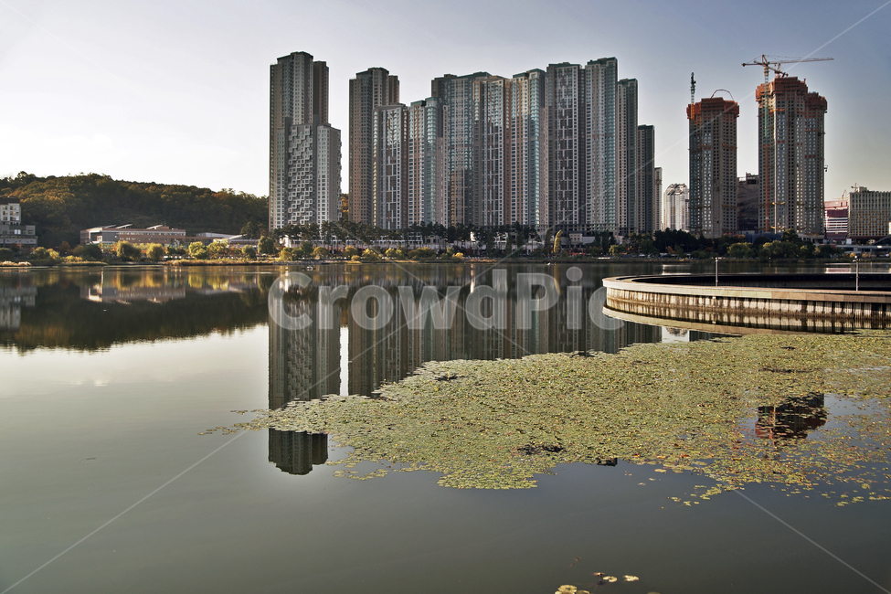 광교호수공원,영통,공원,호수,수원시,탐방로,아파트,신비한물너미,한국도시풍경,한국도시경관,korea cityscape