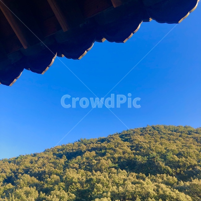 산,하늘,나무,파란하늘,맑은하늘,구름없는하늘,자연,가을,가을하늘,숲,fall,tree,sky,abluesky,aclearsky,mountain,nature,기와,기와지붕,지붕,자연,풍경,nature,landscape,outdoors,옥외