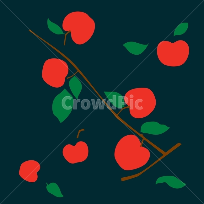 green,fruit illustration,fruit,leaf,red,apple,apple illustration,plant,drawing,illustration,apple tree