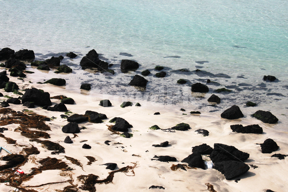 여름바다,제주도,파도,바위,wave,summer,jejuisland,rock,boulder