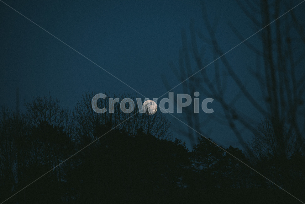 nature,자연,outdoors,옥외,보름달,moon