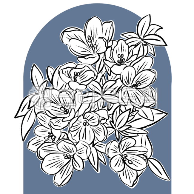 꽃,꽃그림,꽃일러스트,꽃스티커,라인드로잉,드로잉,스티커,컬러스티커,플라워,다꾸스티커,다꾸,이름스티커,꾸미기,식물,식물그림,floraldesign,플로랄디자인,pattern,무늬