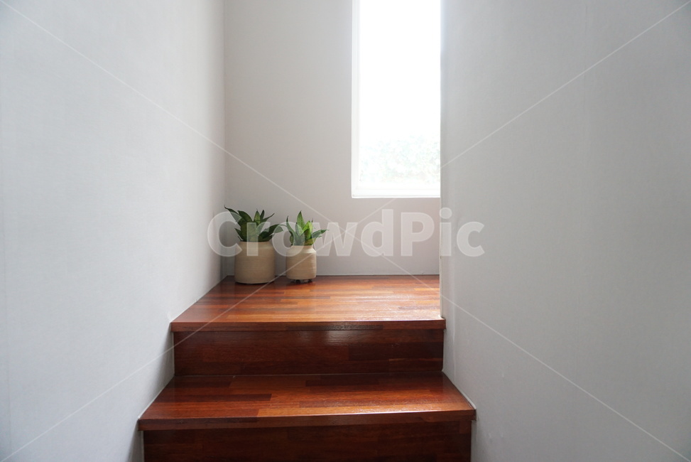 ceramic,house decoration,tree,house,home,pottery,pot,home styling,plant,self interior,wood,Planterior