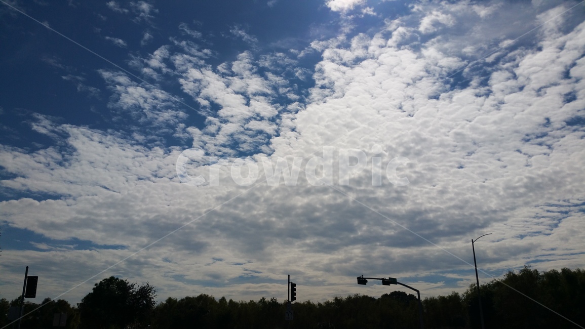 구름,하늘,자연,양떼구름,구름많은날,자연,풍경,nature,landscape,outdoors,옥외