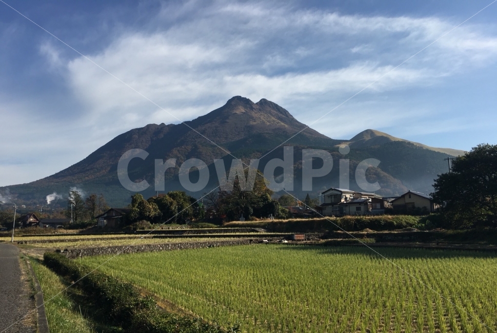 일상,풍경,배경,하늘,구름,색감,감성사진,산,자연,일본,유후인,자연,풍경,nature,landscape,시골,마을,country,rural,town,해외,외국,세계,foreign,oversea,world,outdoors,옥외,grassland,목초지,field,들,paddy field,패디 필드