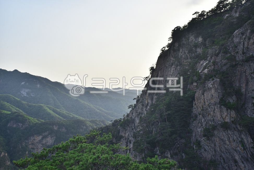 A national park,pine tree,healing,mountain,high mountain,Korean natural scenery,ridge,Mt Seolark,nature,tree,mountain range,peaks,outdoor,environment,outdoors,background